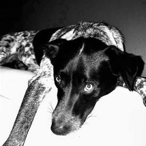 Meet your Posher, Raeann